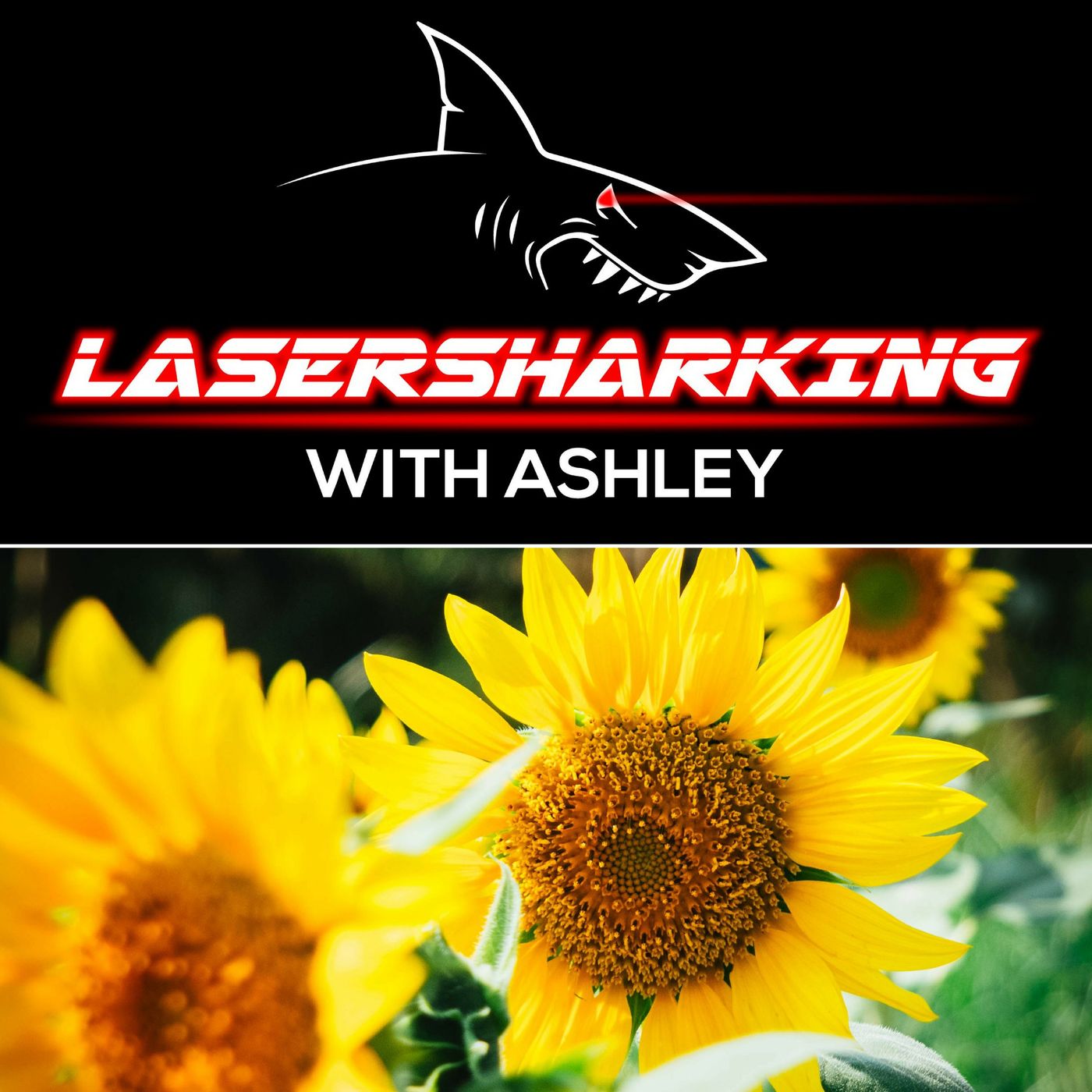Lasersharking with Ashley