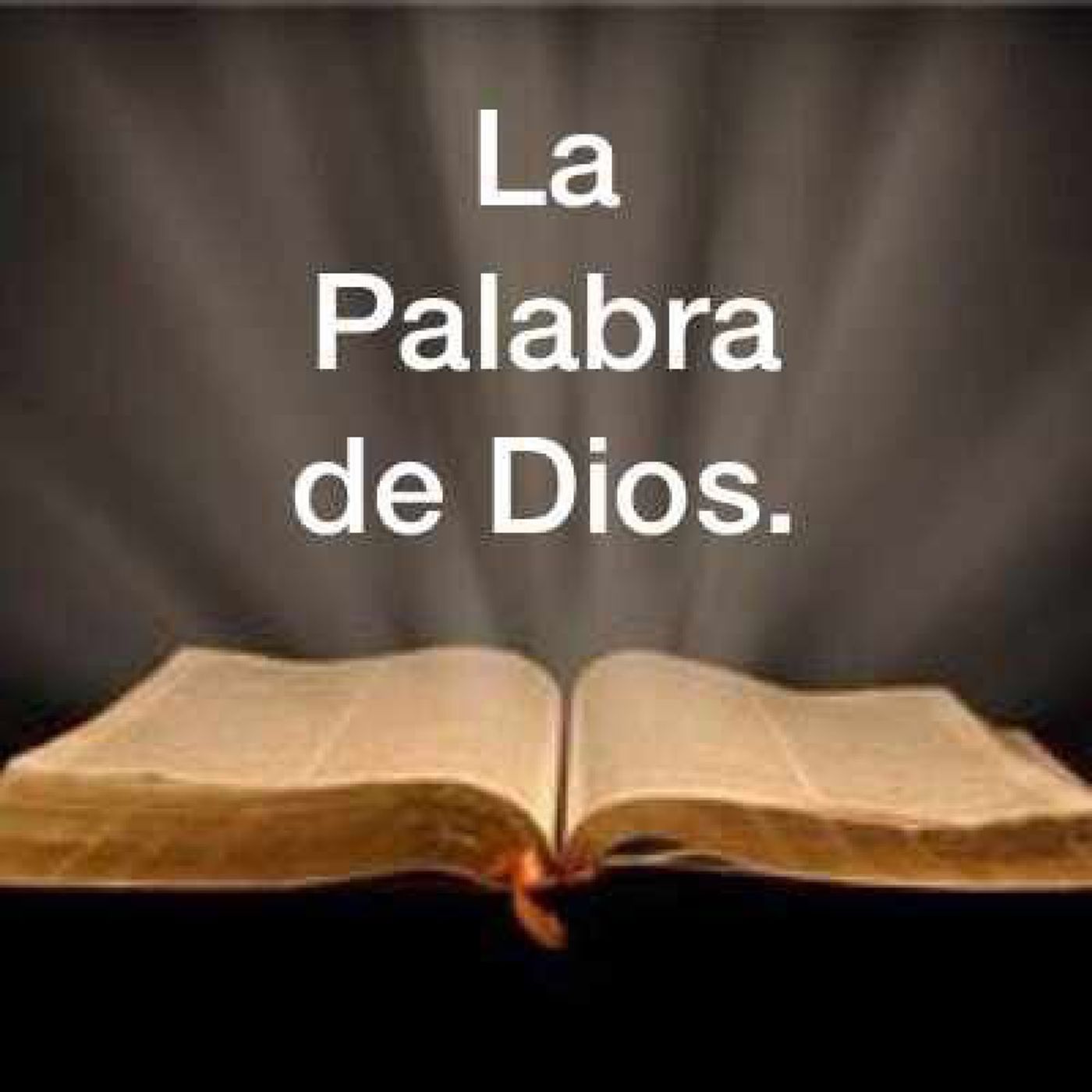 La Reflexión del Día "Tu palabra Señor me transforma" episode artwork