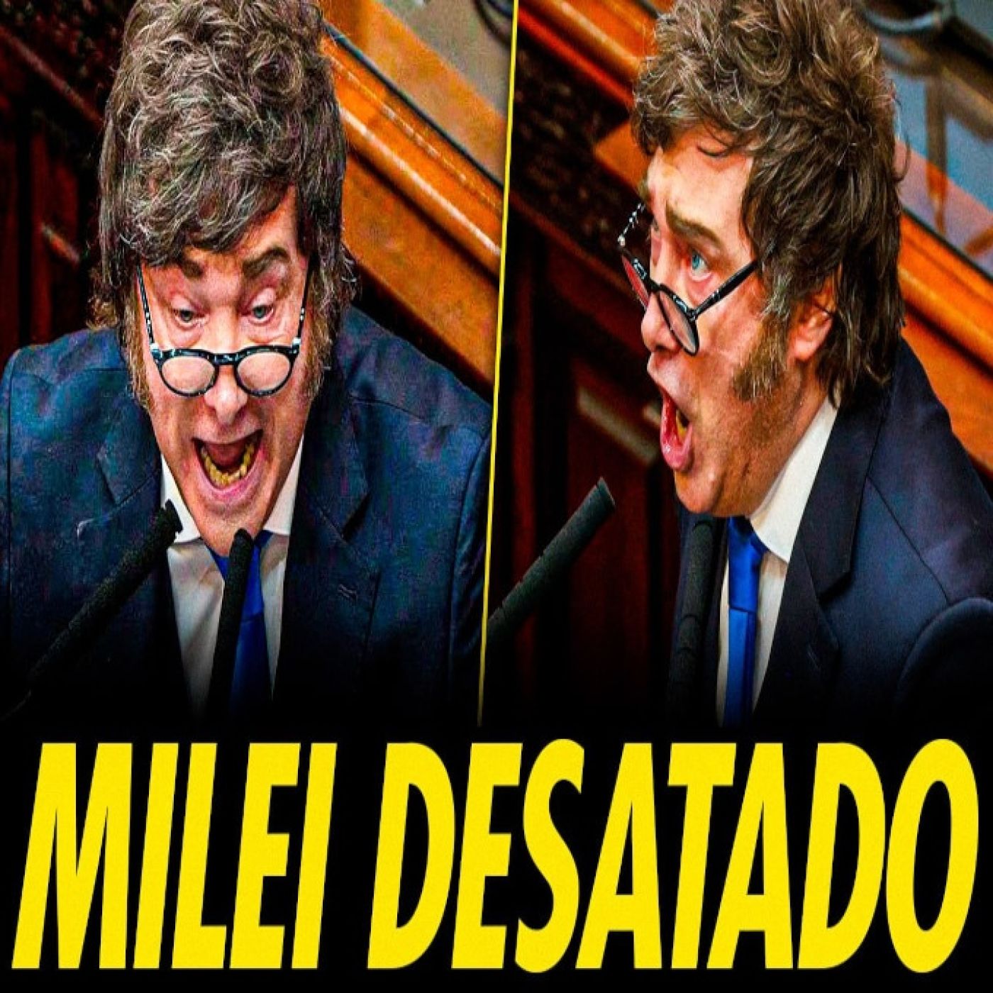 MILEI SE BROTA EN LA APERTURA DEL AÑO LEGISLATIVO episode artwork
