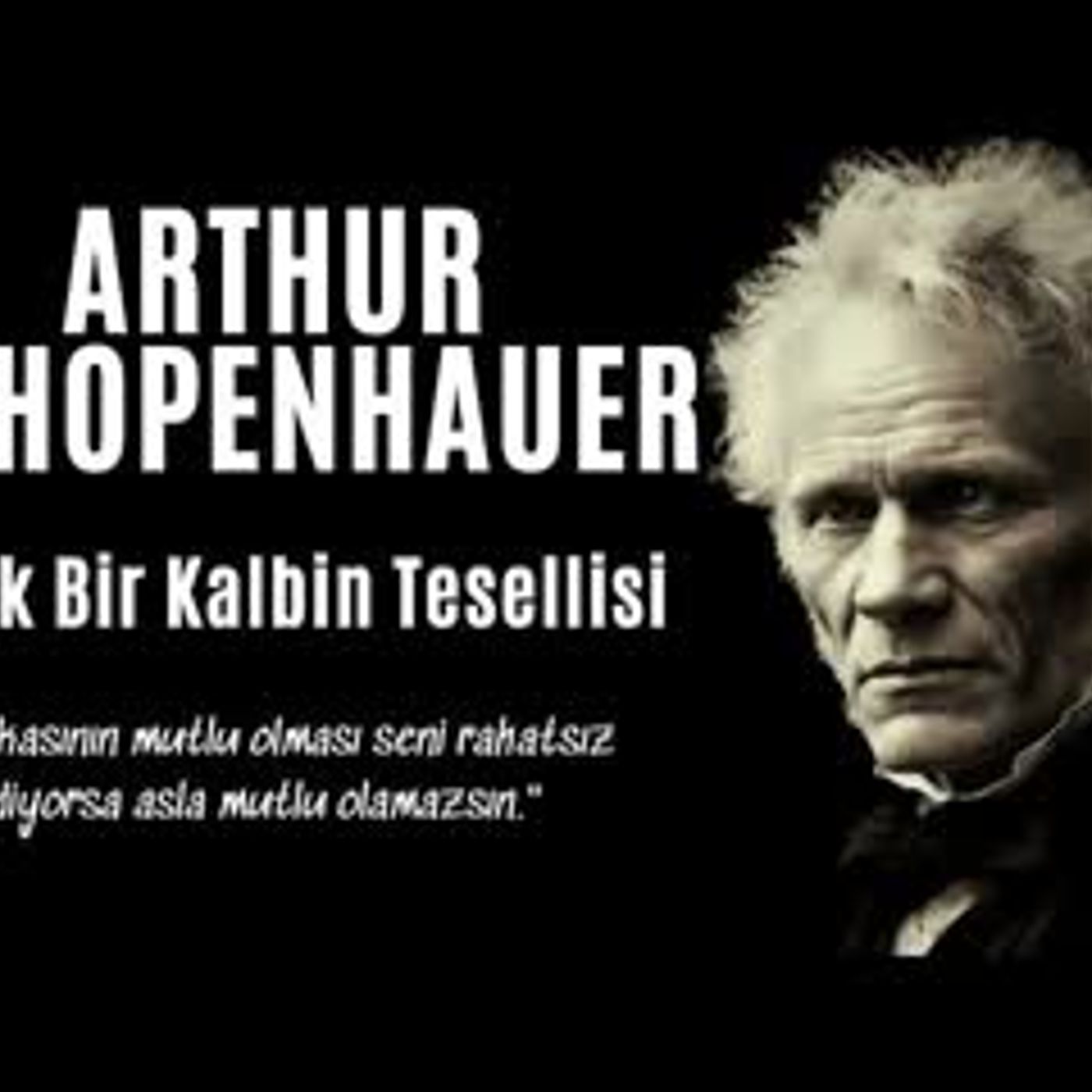 Arthur Schopenhauer - Kırık Bir Kalbin Tesellisi - Sesli Kitap Dinle