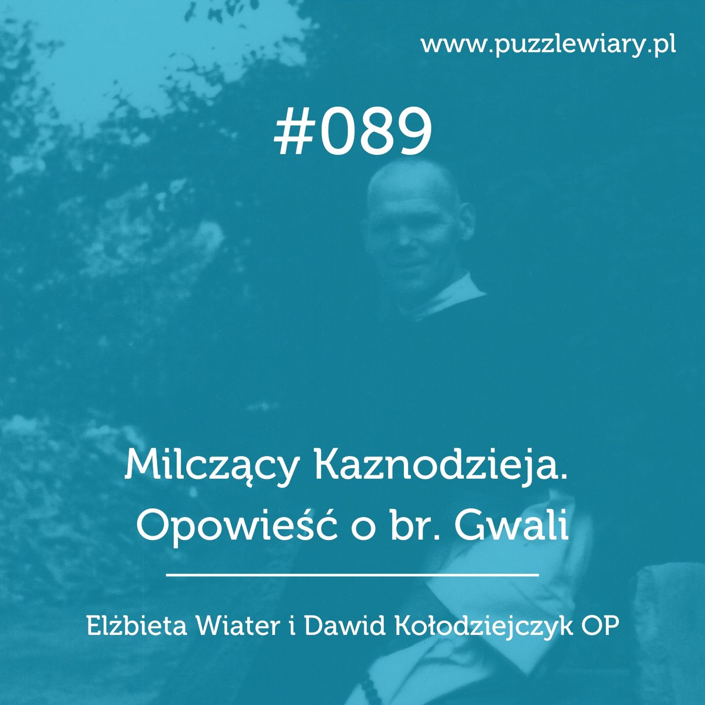 Puzzle Wiary