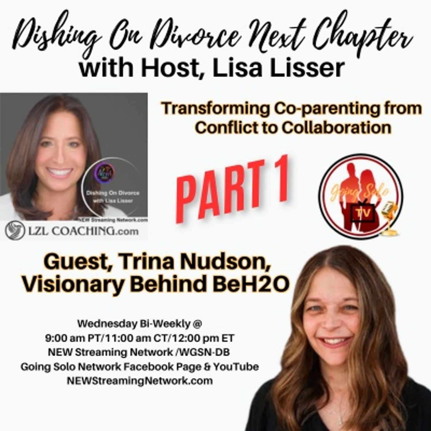 Transforming Co-parenting from Conflict to Collaboration with Trina Nudson episode artwork