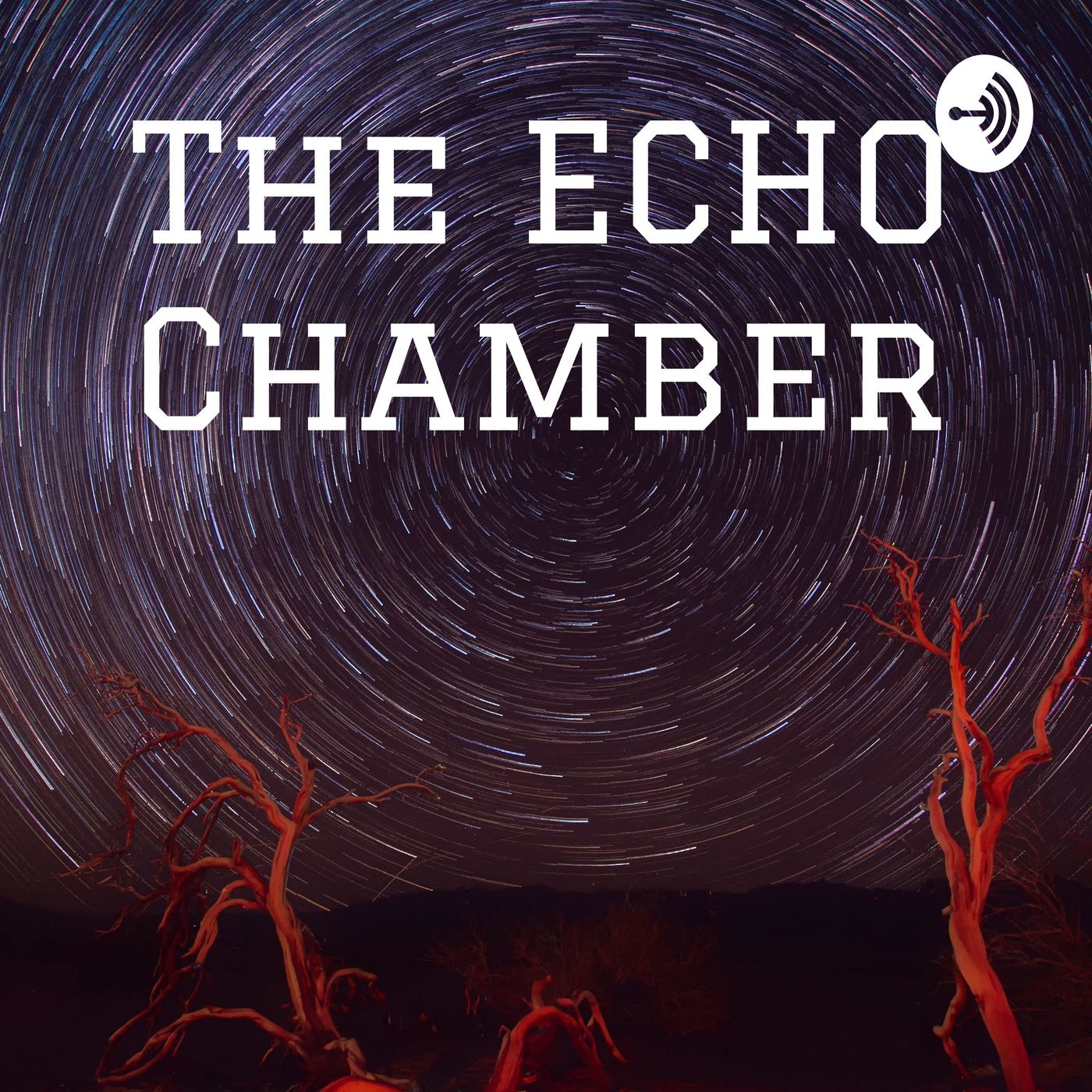 The ECHO Chamber