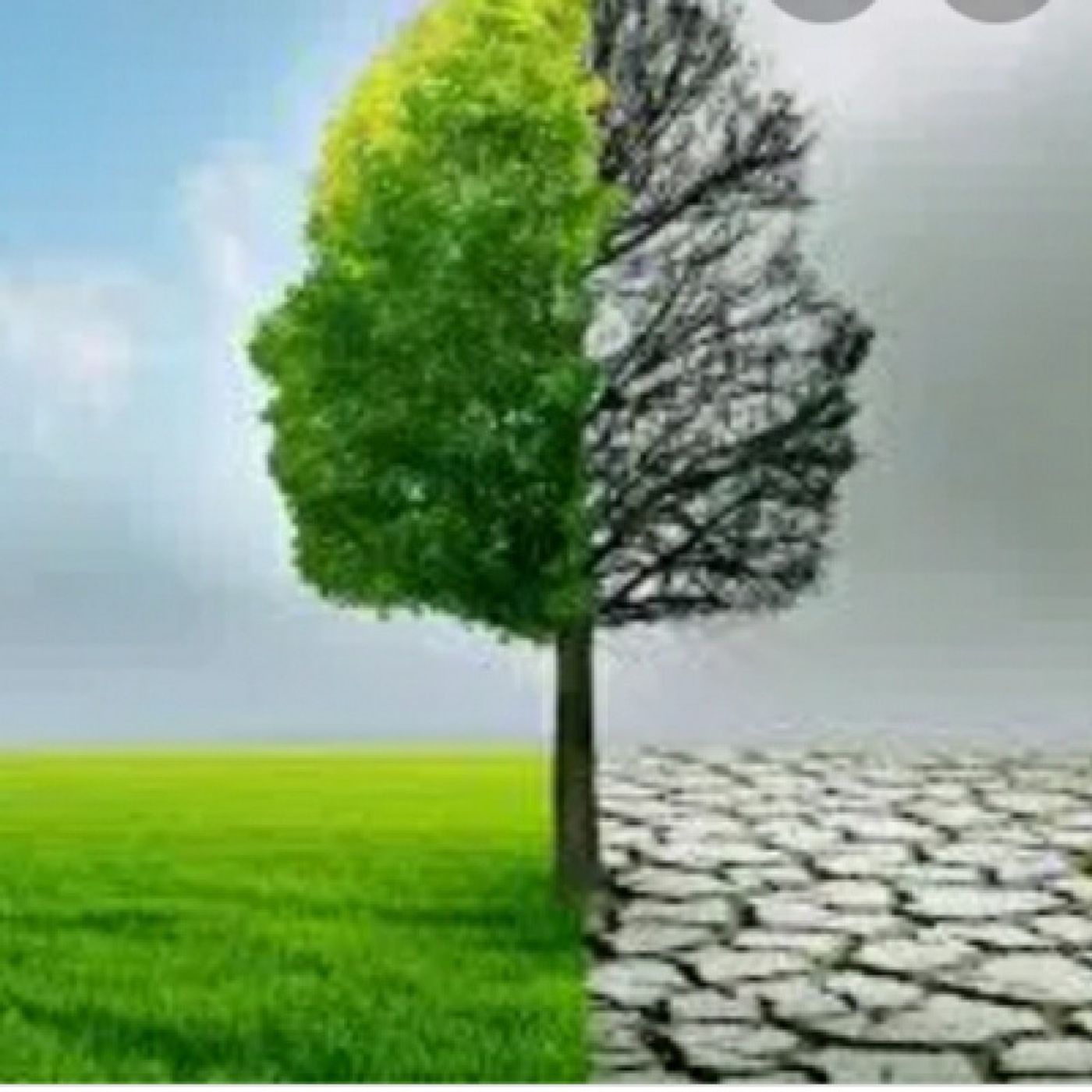 Reflexiones De Restauracion Para Tu Alma