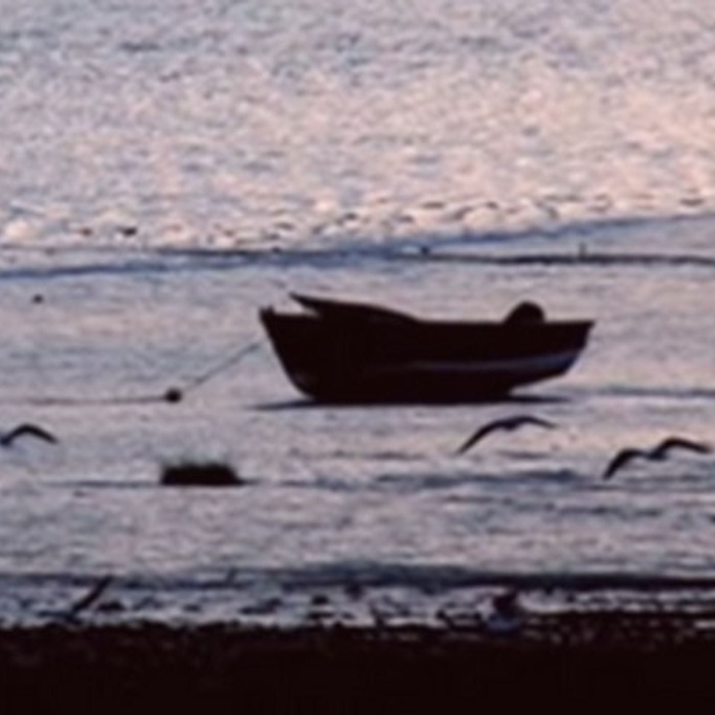 Tracce di Domenico Tota