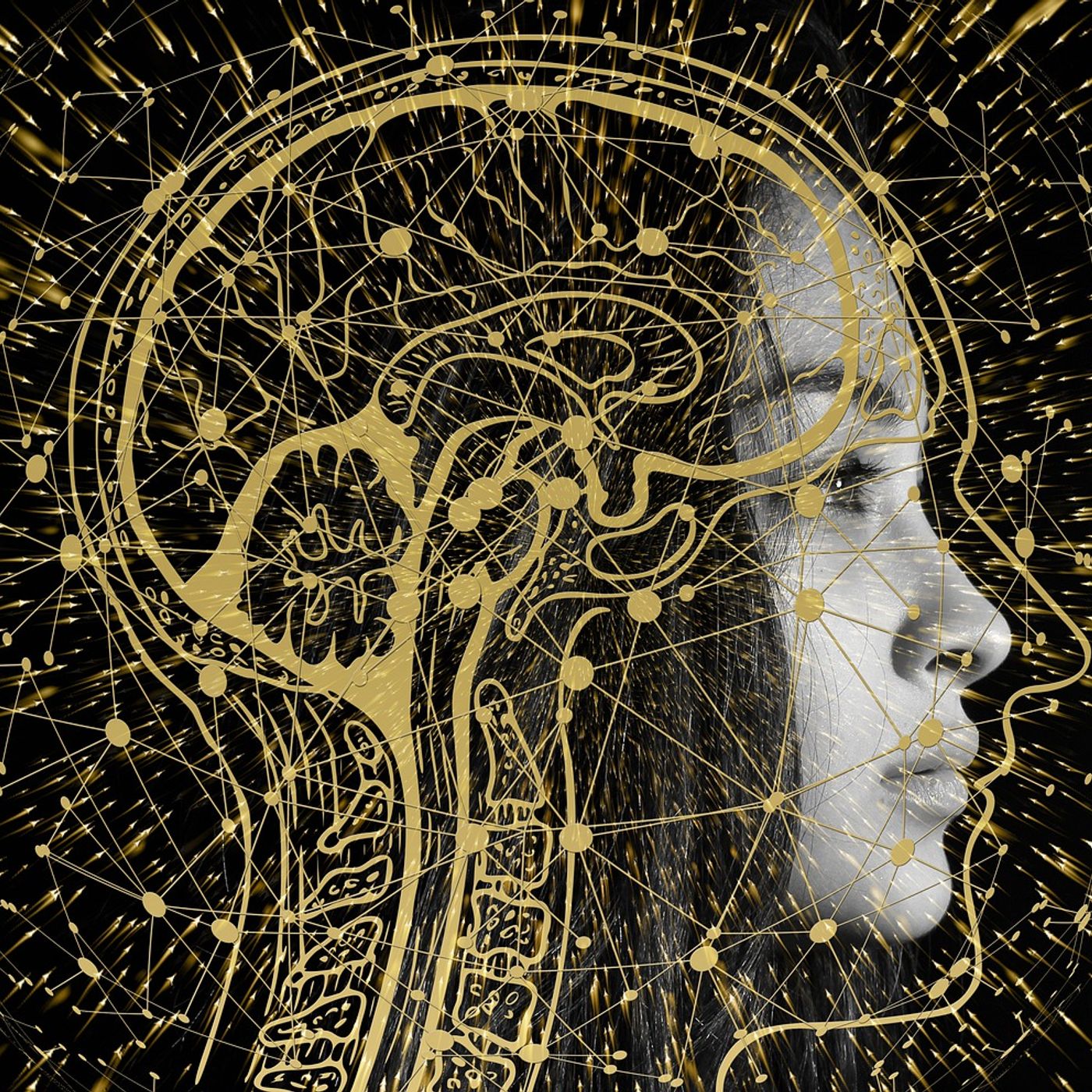 Cibi per mantenere il cervello in forma episode artwork