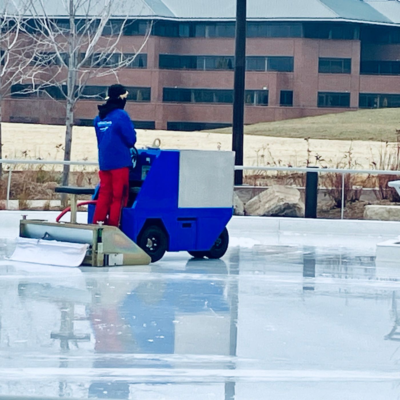 NE's New Laws: No Fake Meat, Yes MMA...on Ice?!