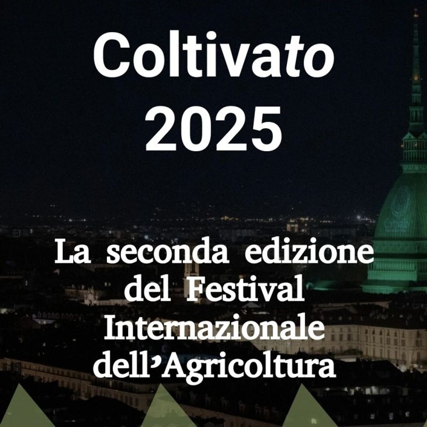 il posto delle parole