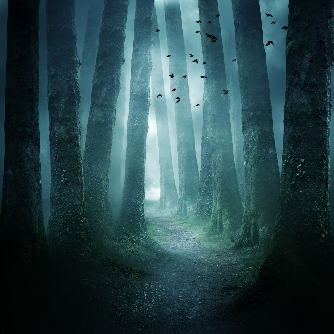 La notte oscura dell'Anima