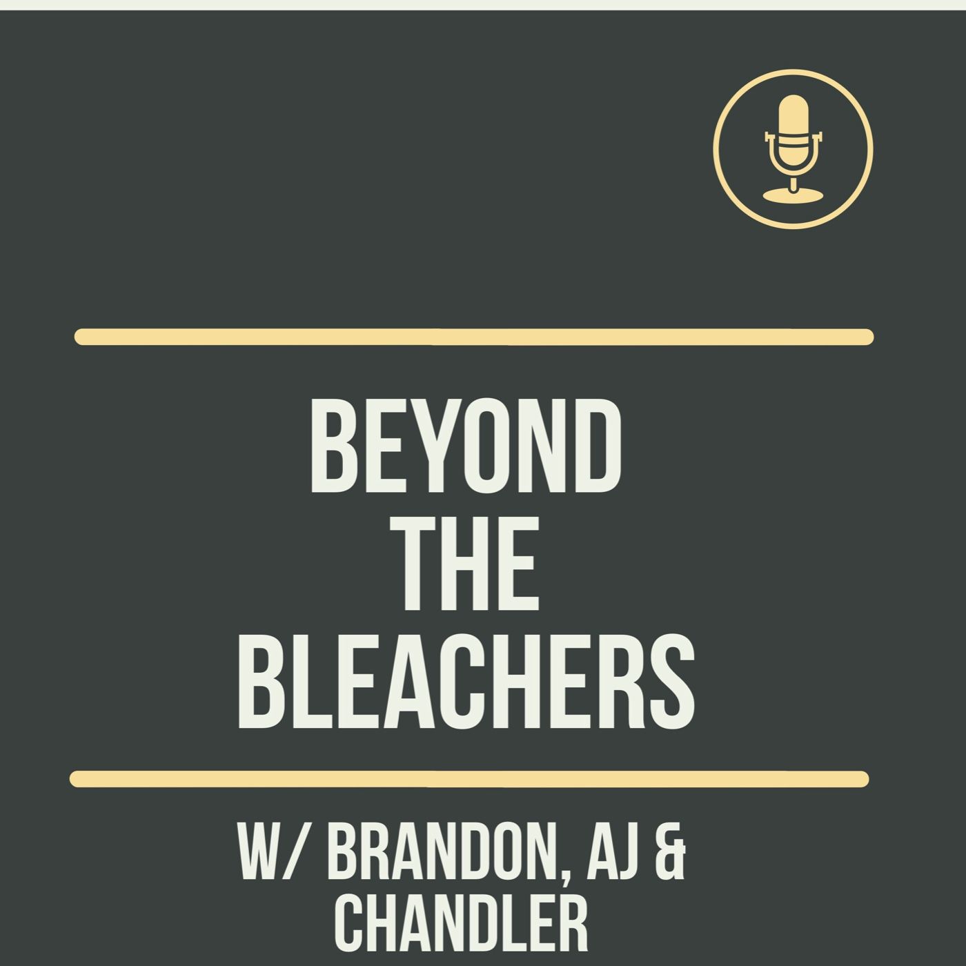Beyond The Bleachers