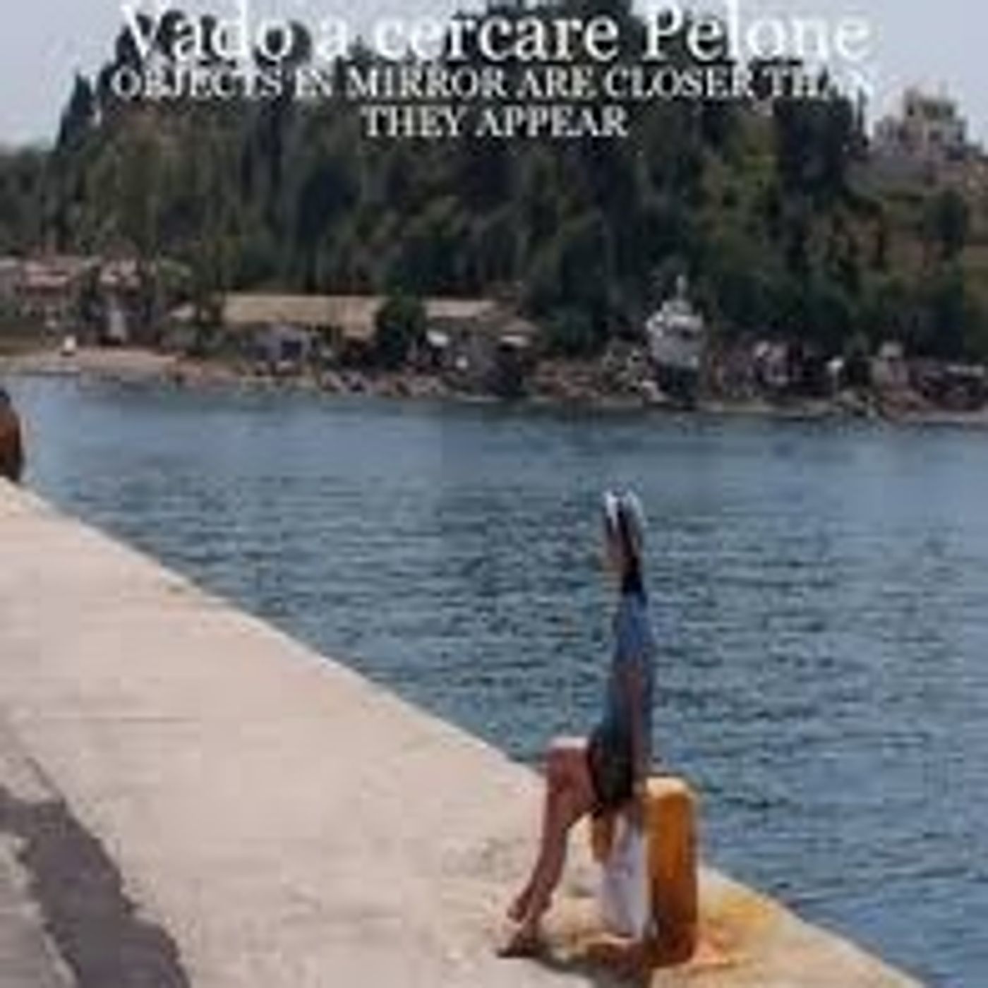VADO A CERCARE PELONE