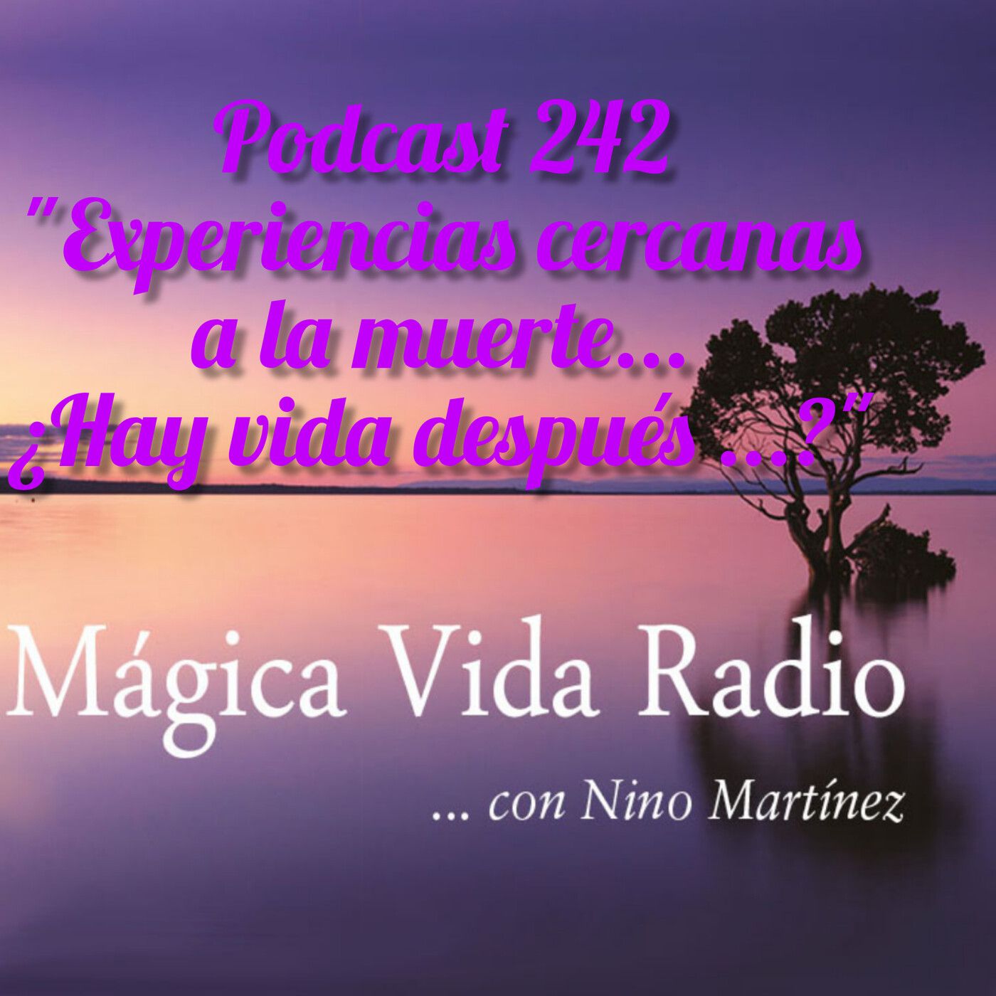 Mágica Vida Radio