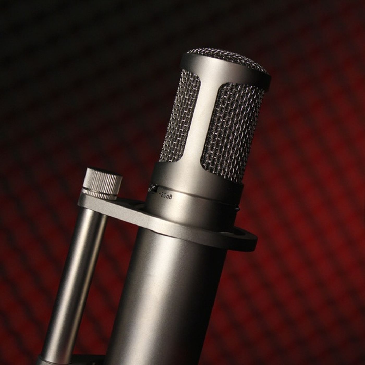 Voiceover Sermons with Terry Daniel