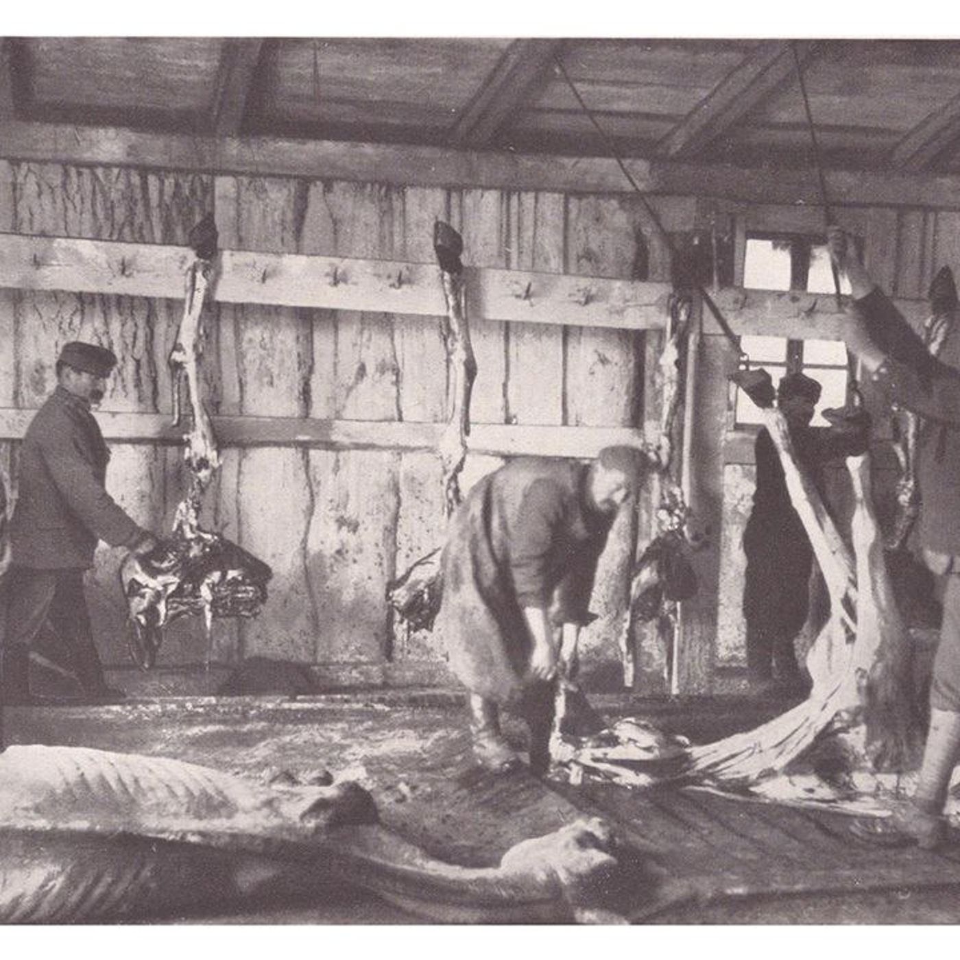 Ep. 65: L'ultimo Natale di Przemyśl (1 dicembre 1914 - 15 gennaio 1915)