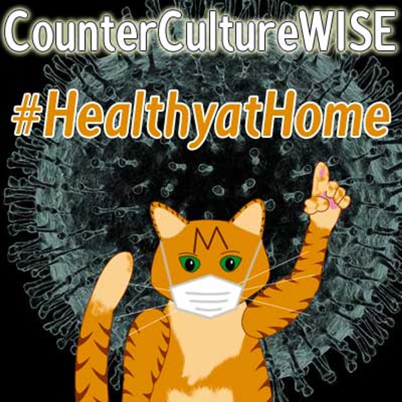 CounterCultureWISE
