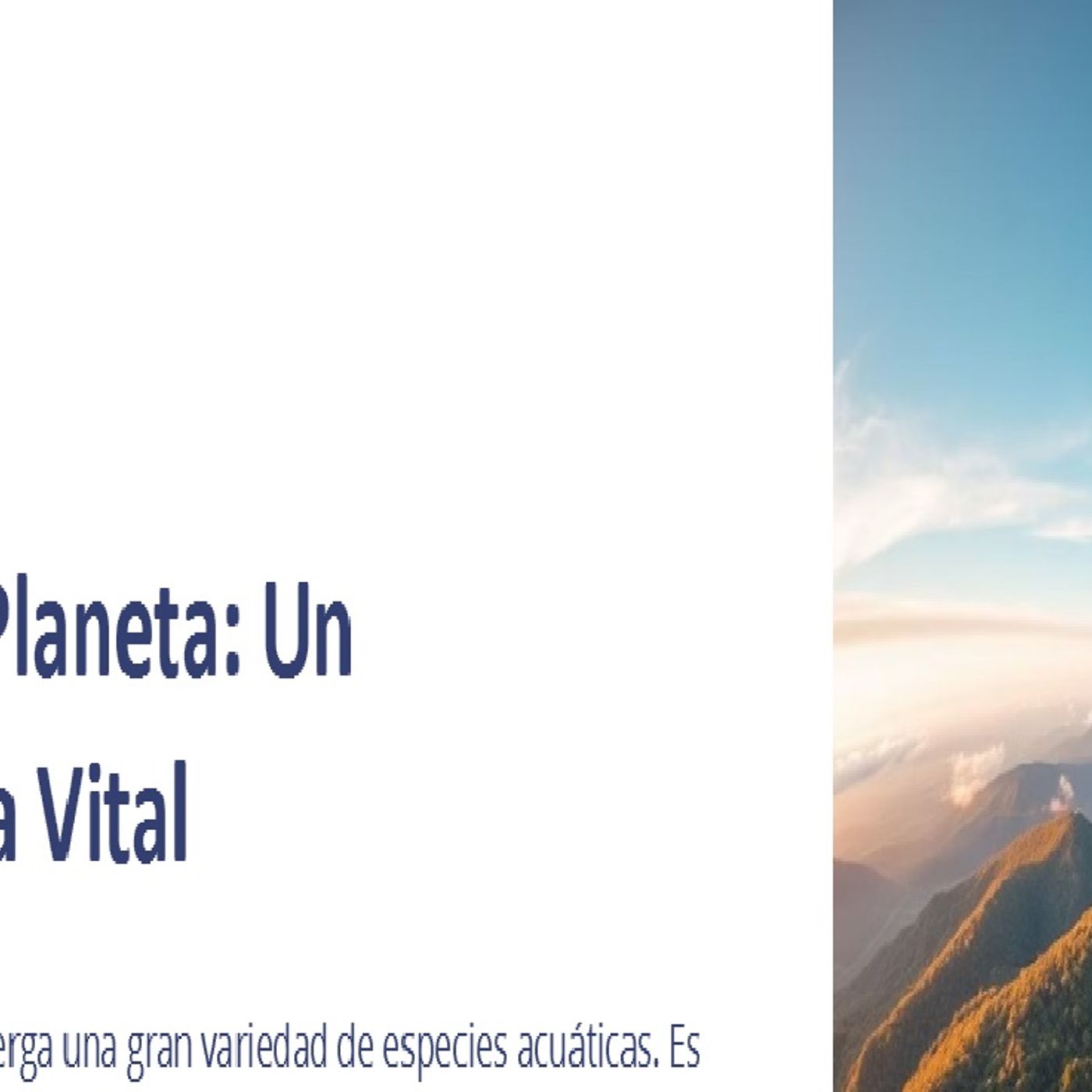 Humedal Planeta - Case
