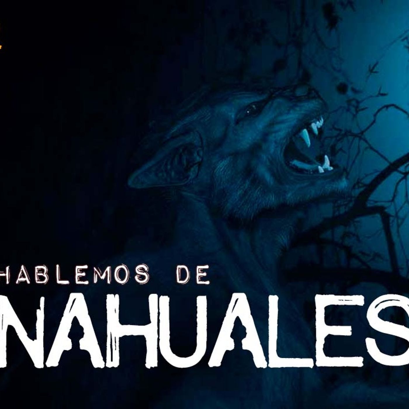 13.Hablemos de NAHUALES!