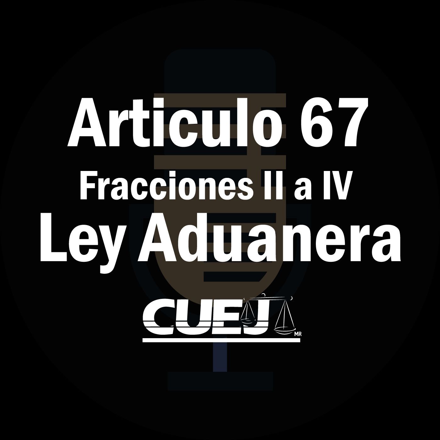 Audio Ley Aduanera