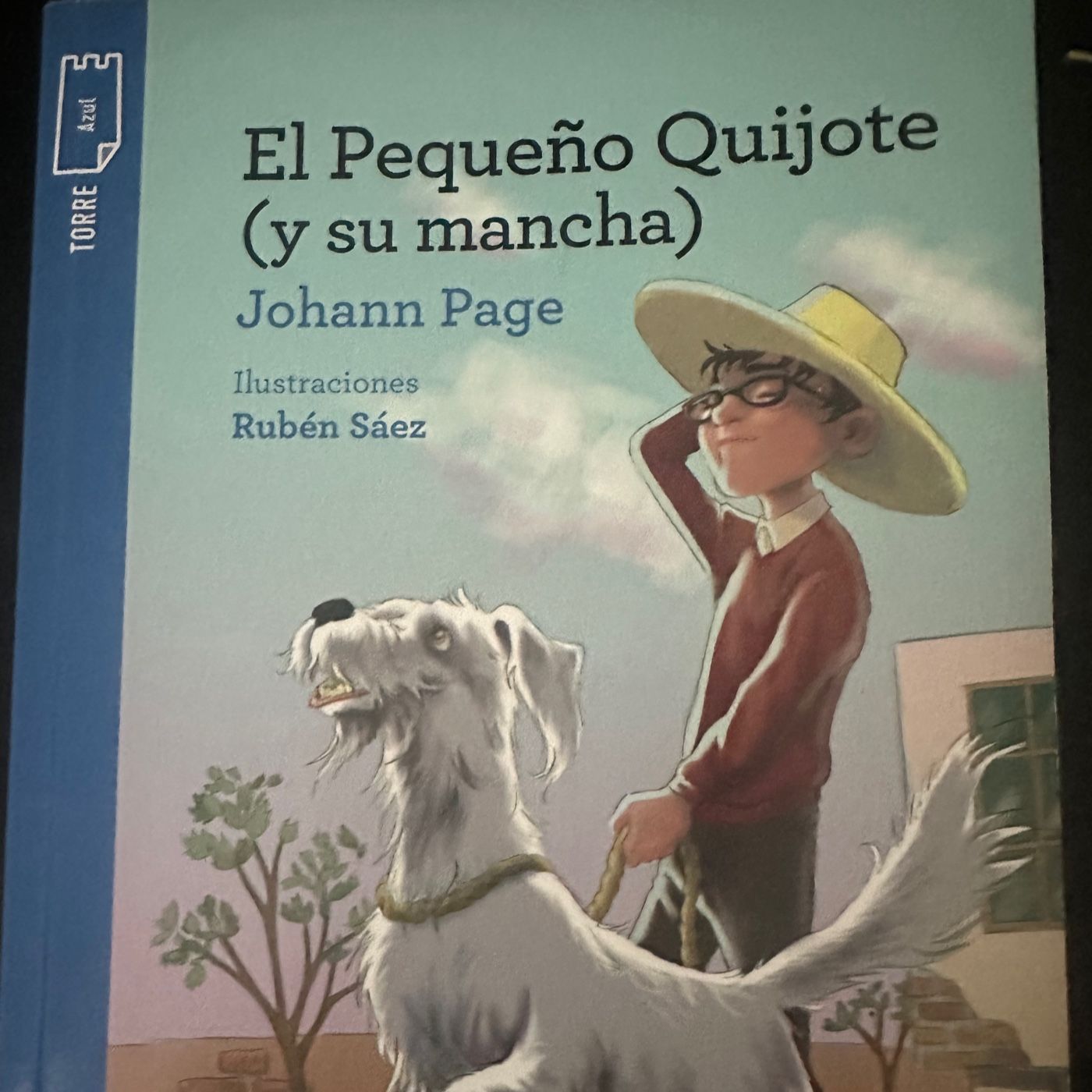 El pequeño Quijote y su mancha podcast artwork