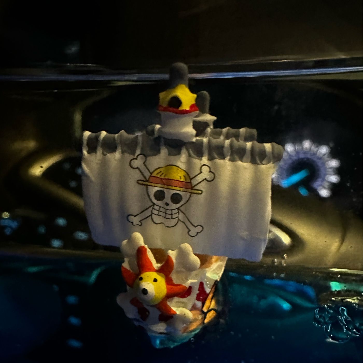 One Piece Newcomer