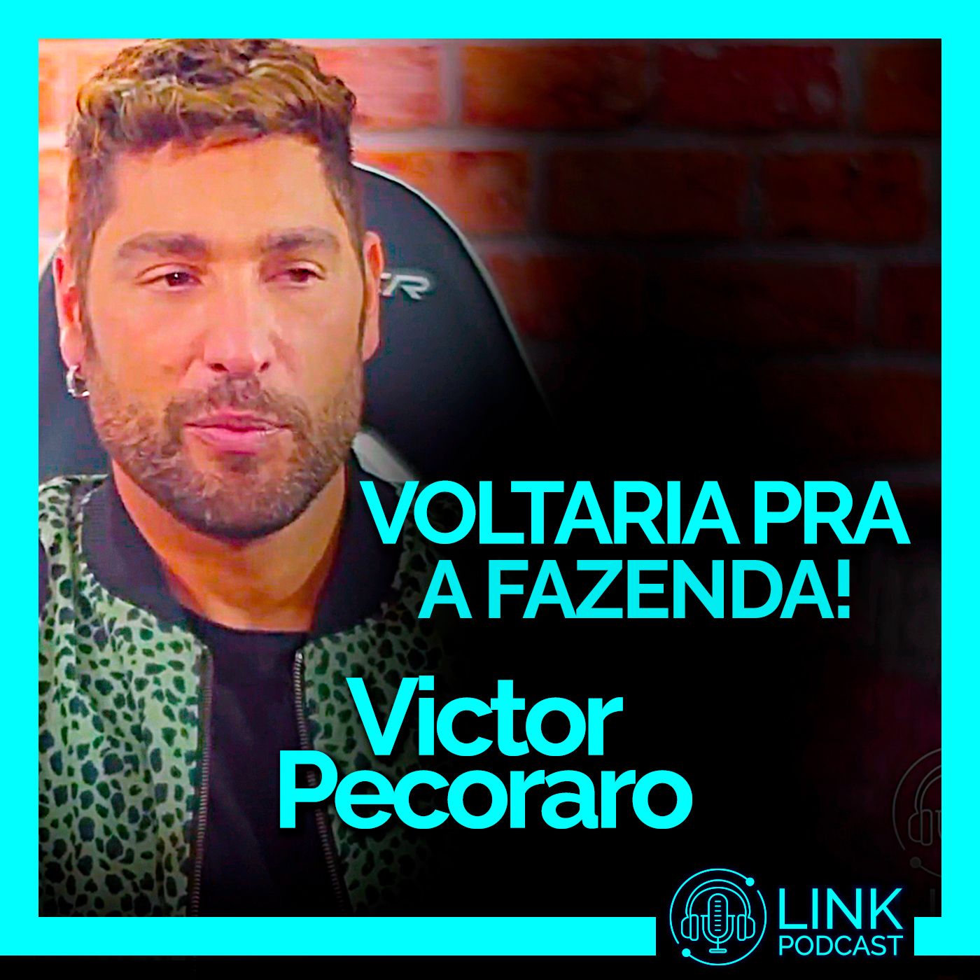 Link Podcast