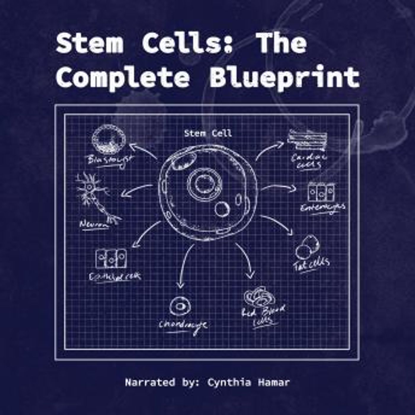 Explore the Latest Full Audiobooks in Non-Fiction, Biology & Chemistry