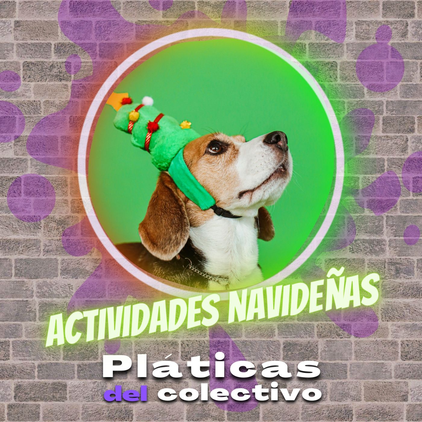 Pláticas del colectivo