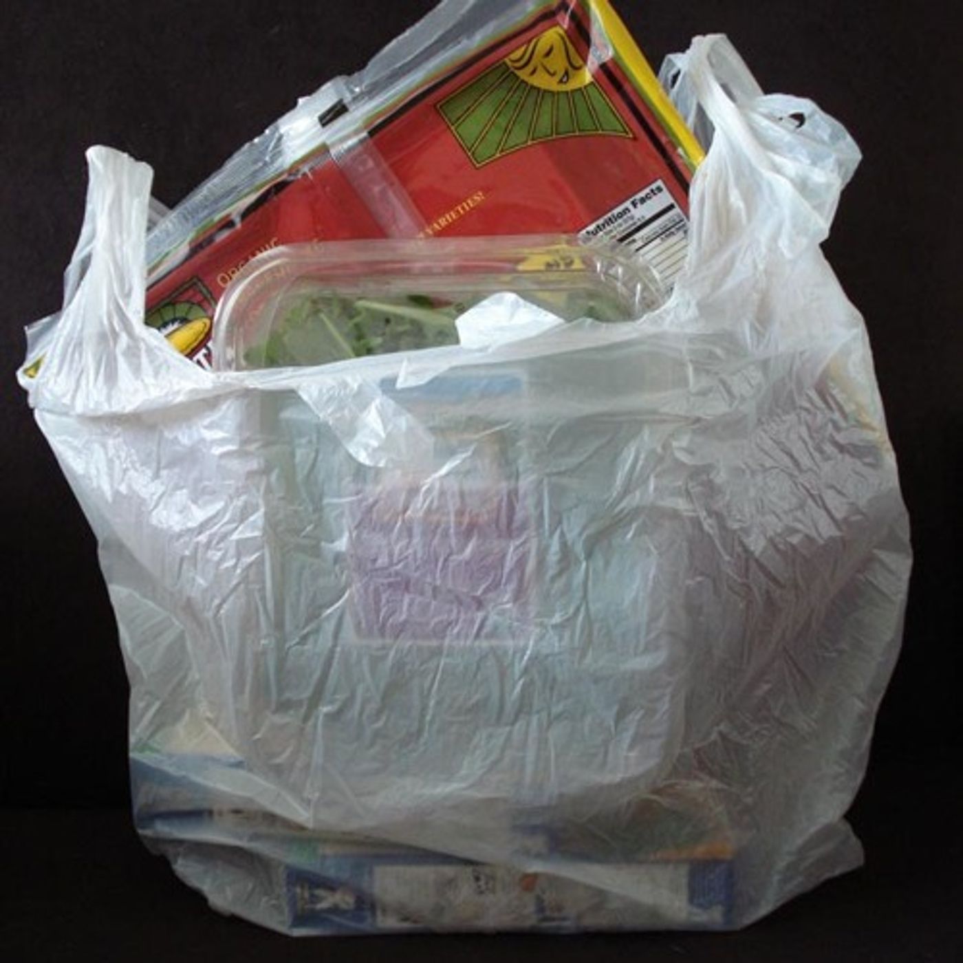 Plastic Bag Opponents Make Their Case City-By-City episode artwork