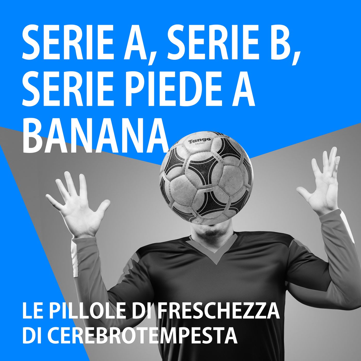 Cerebrotempesta