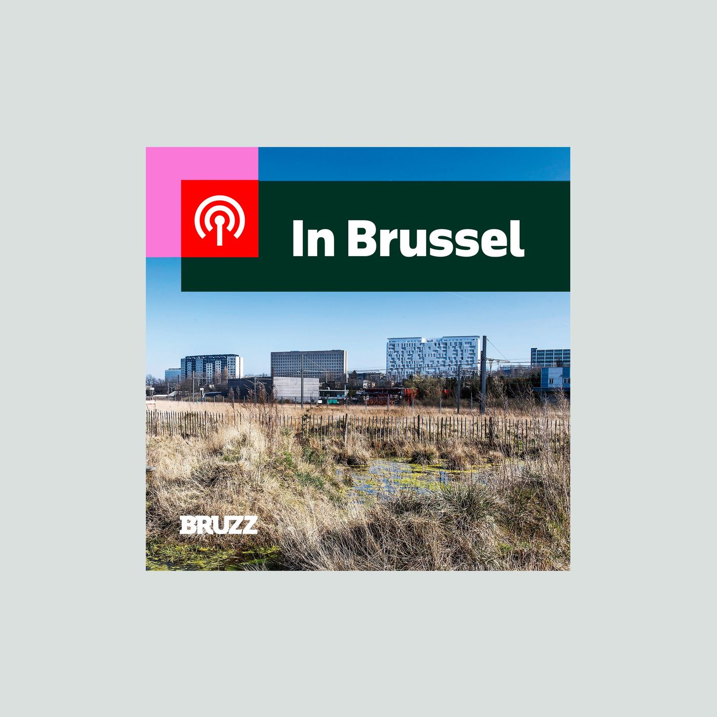 #5 De Josaphatsite: nieuwe woningen of biodiversiteit? En Brusselse bedrijven in de USA
