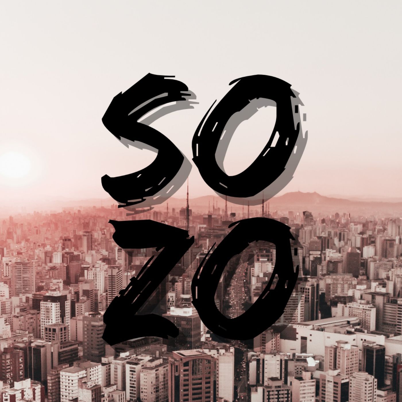 SOZO Coaching cover art