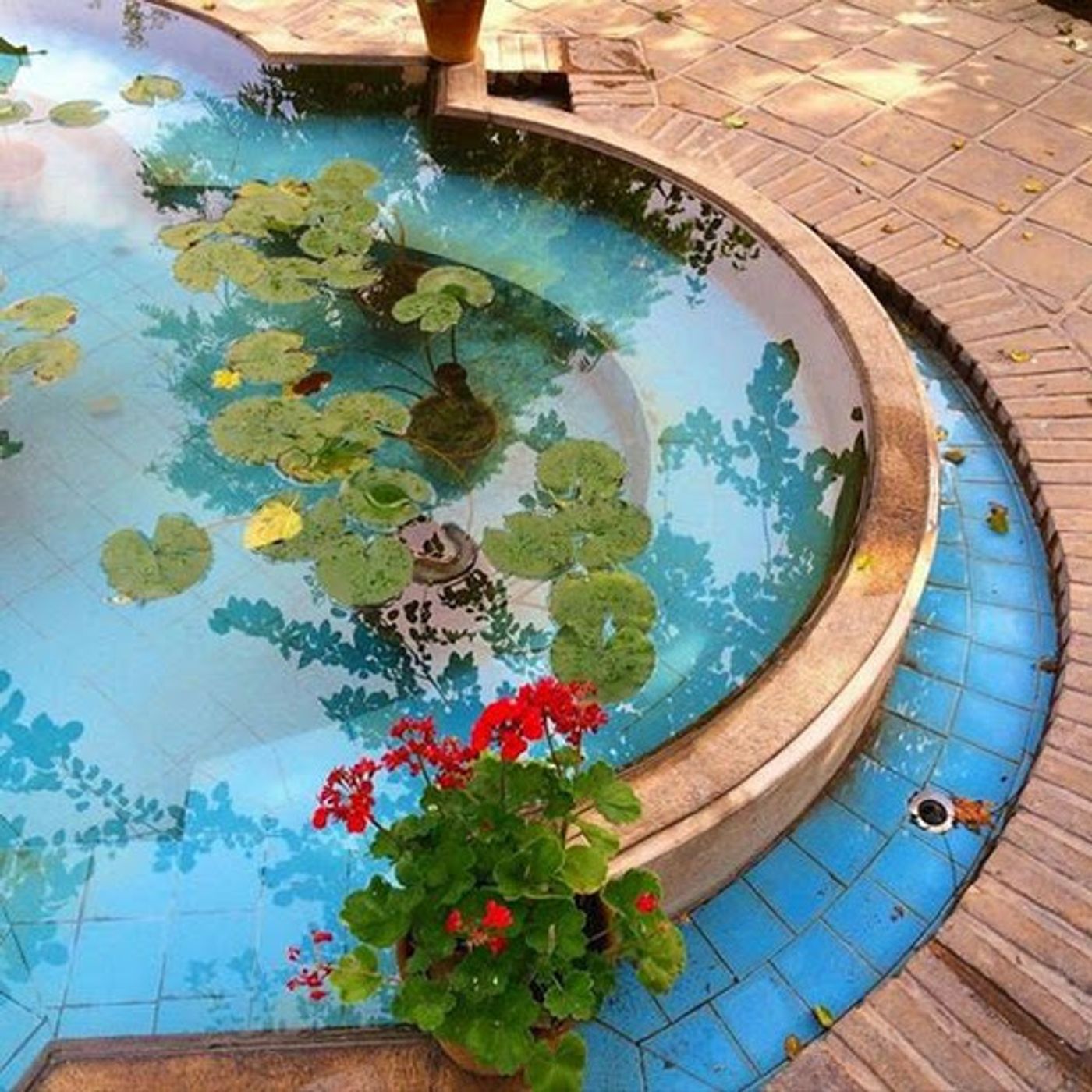 داستانک شمعدونی با صدای پیام بخشعلی