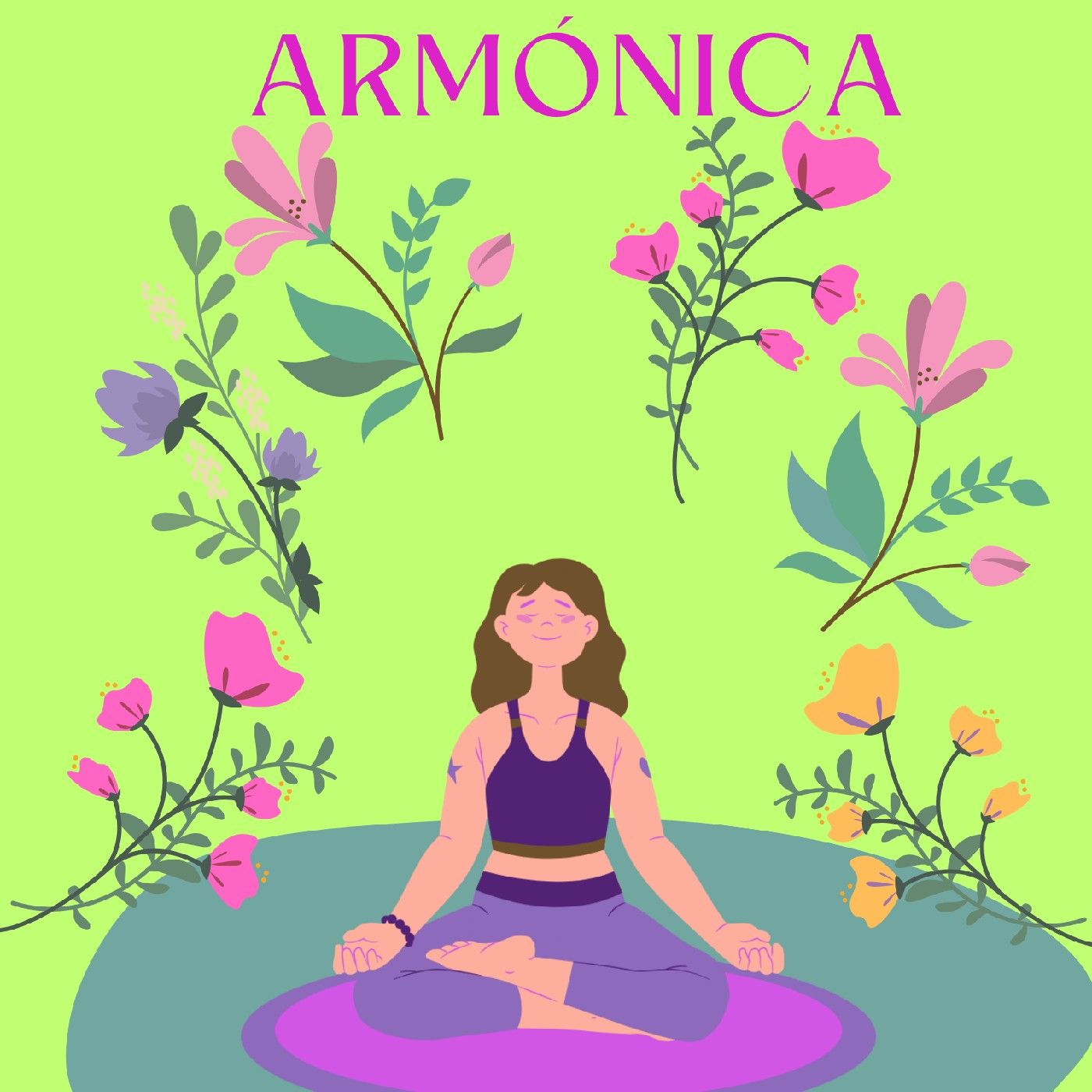 MEDITACION ARMONICA