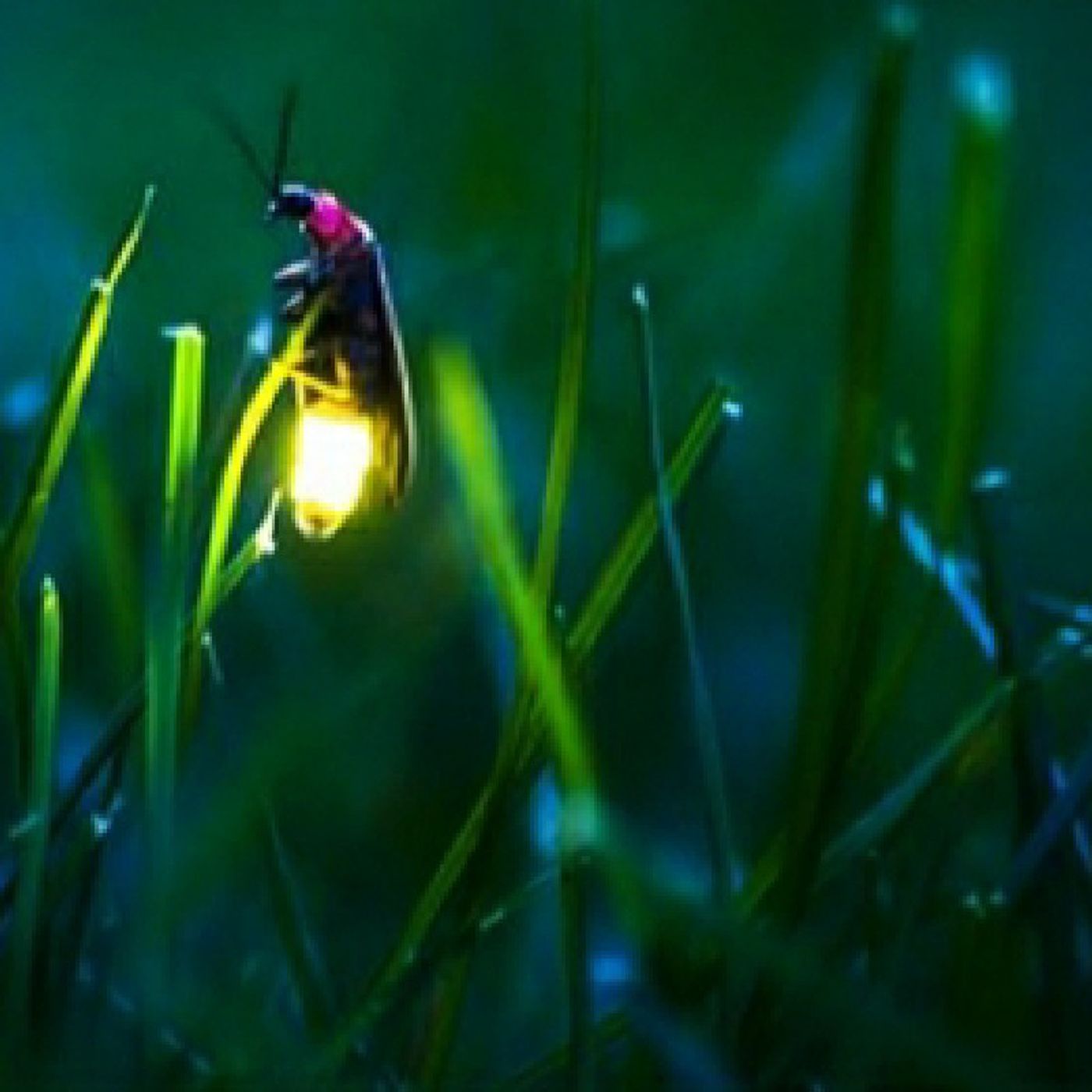 Reflexiones De Restauracion Para Tu Alma