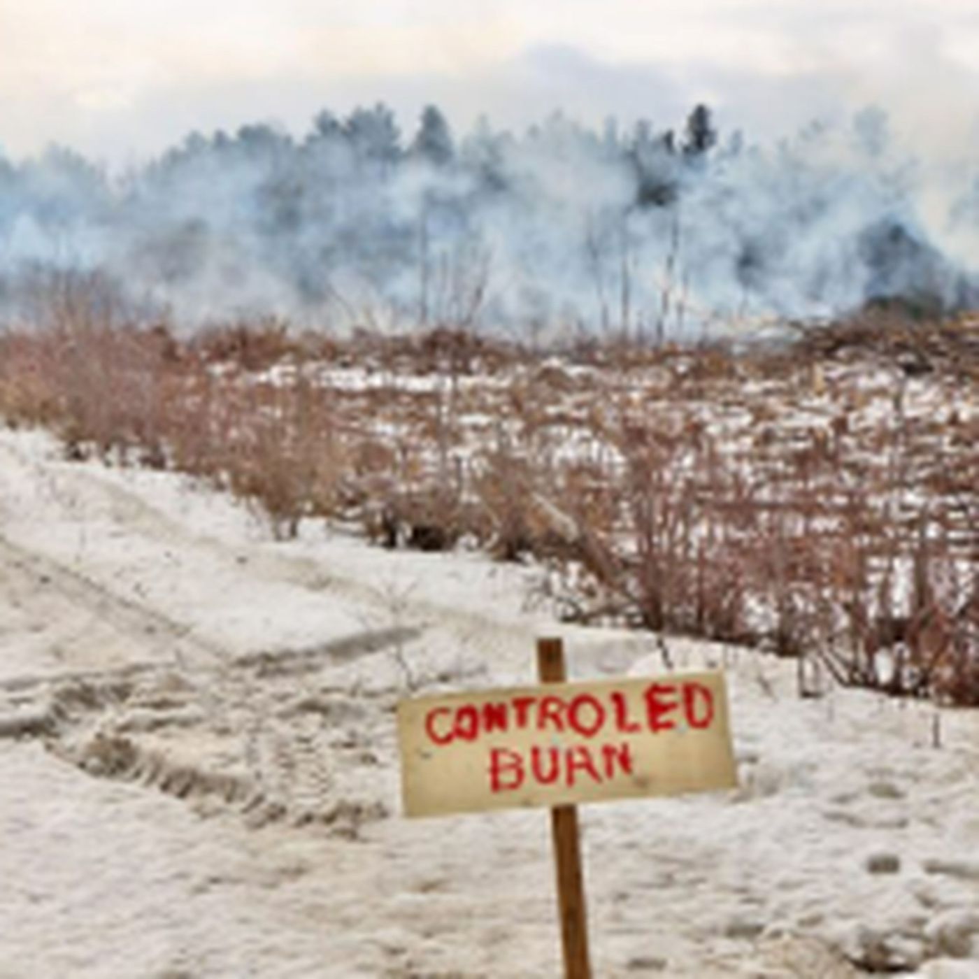 Current Live Wildfire and Smoke Map Nevada Today From Filterbuy.com