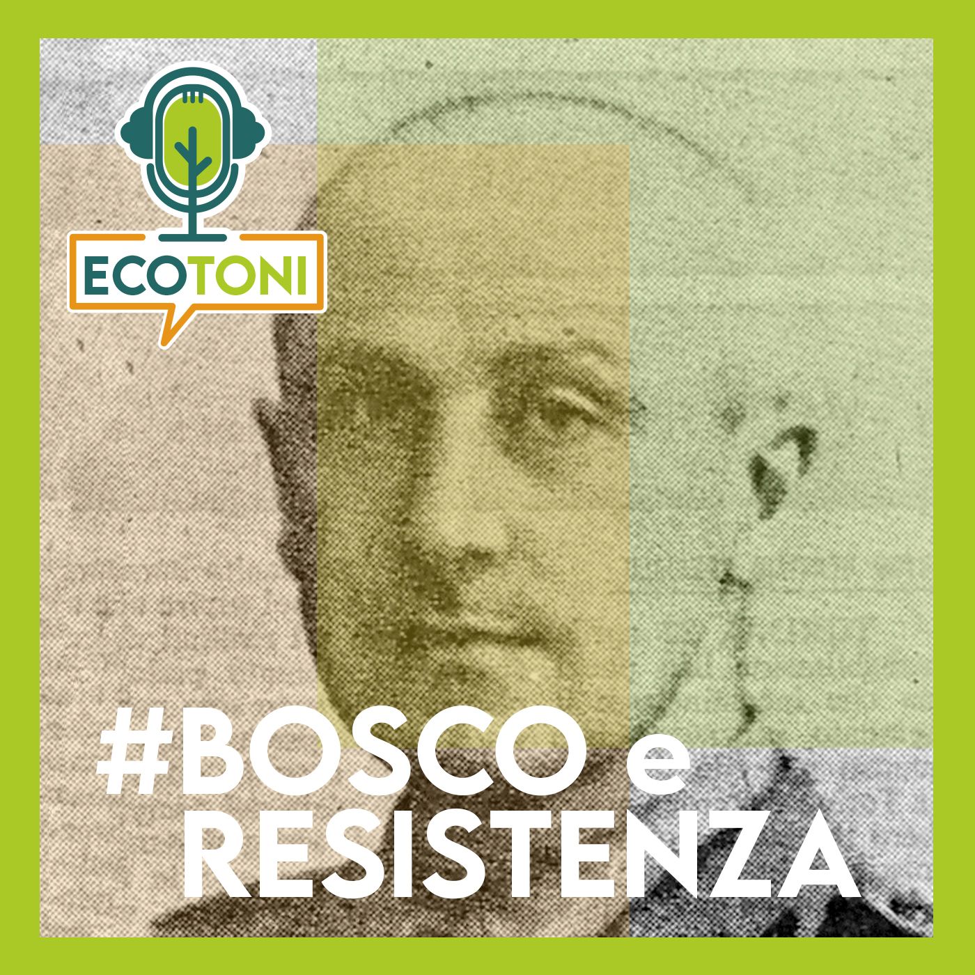 ECOTONI