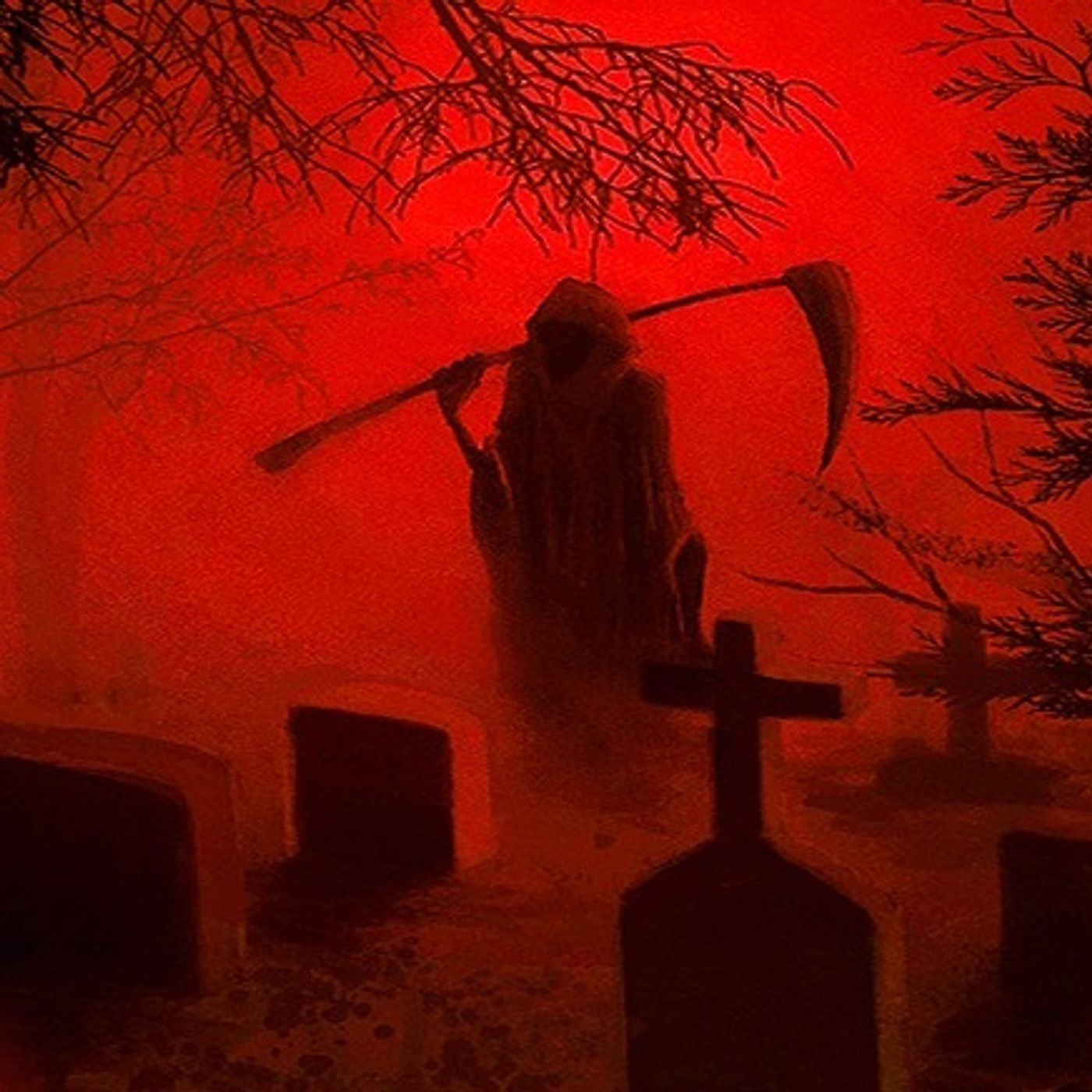 La Veterinaria (Santa Muerte) EVIDENCIA FOTOGRÁFICA Historias De Terror - REDE