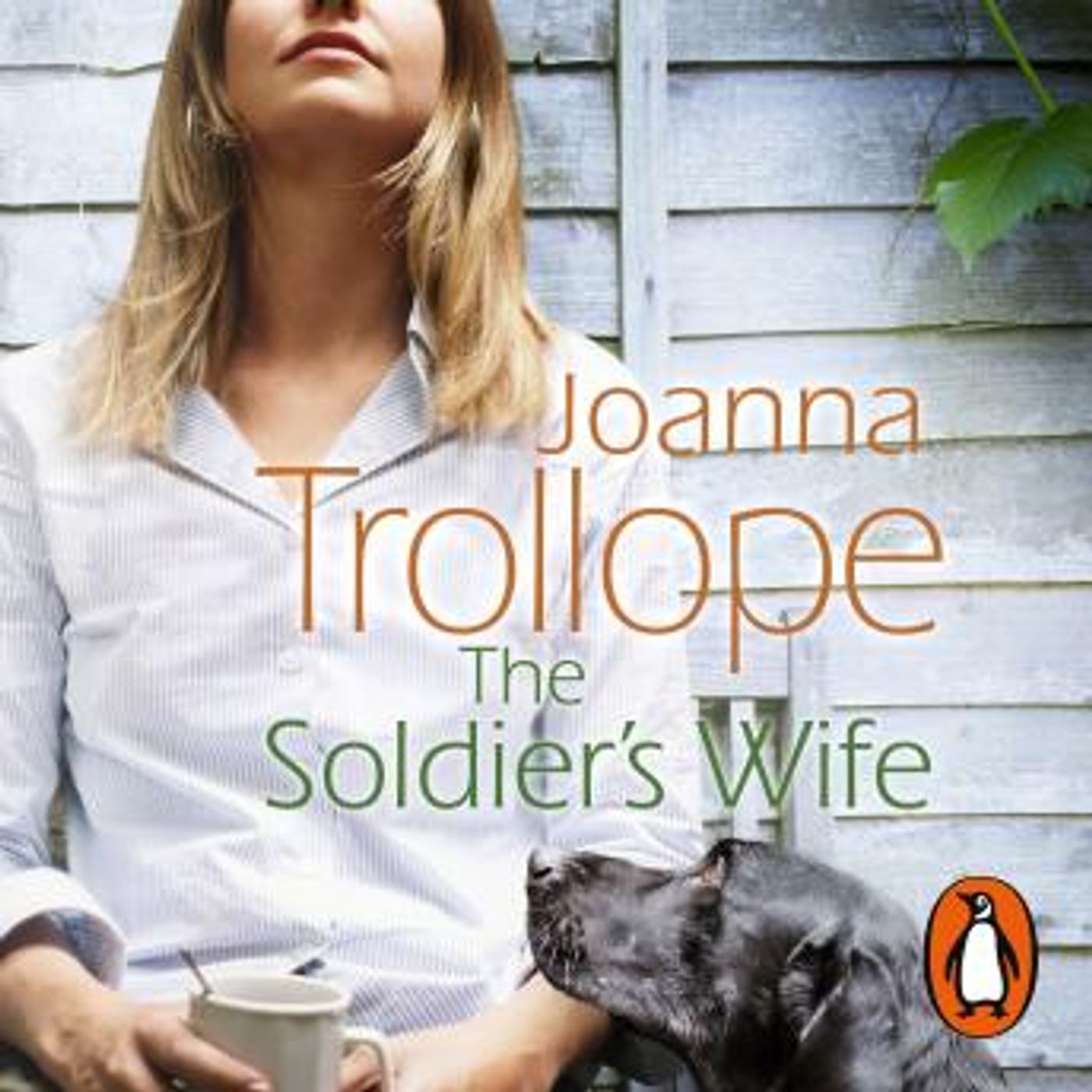 The Soldier's Wife: the captivating and heart-wrenching story of a marriage put to the test from one of Britain’s best loved authors, Joanna episode artwork