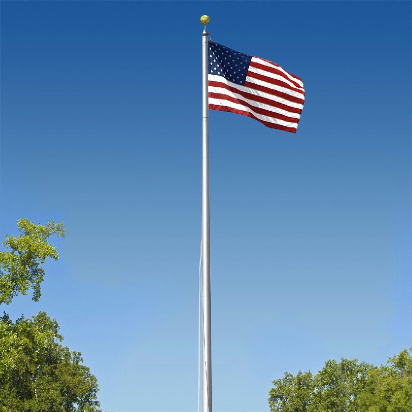 Industrial Strength Flag Pole episode artwork