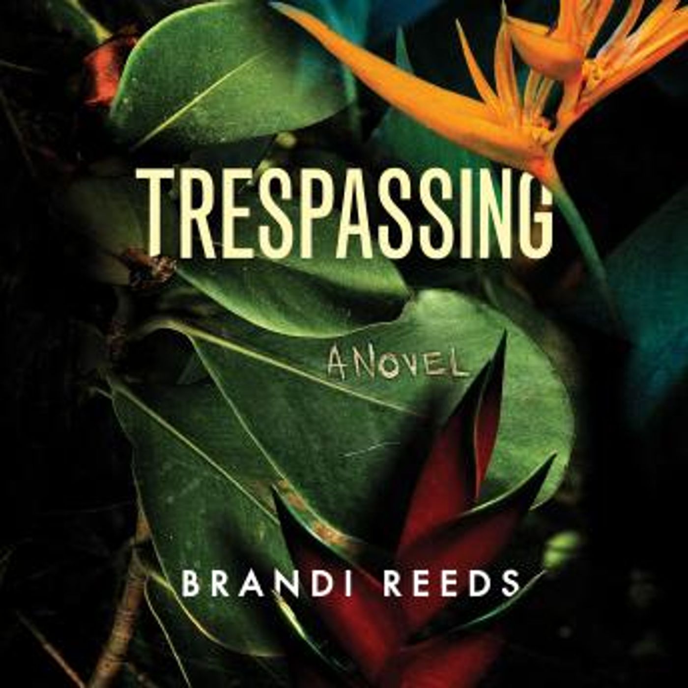 Grab the Essential Full Audiobooks in Mystery, Thriller & Horror, Suspense