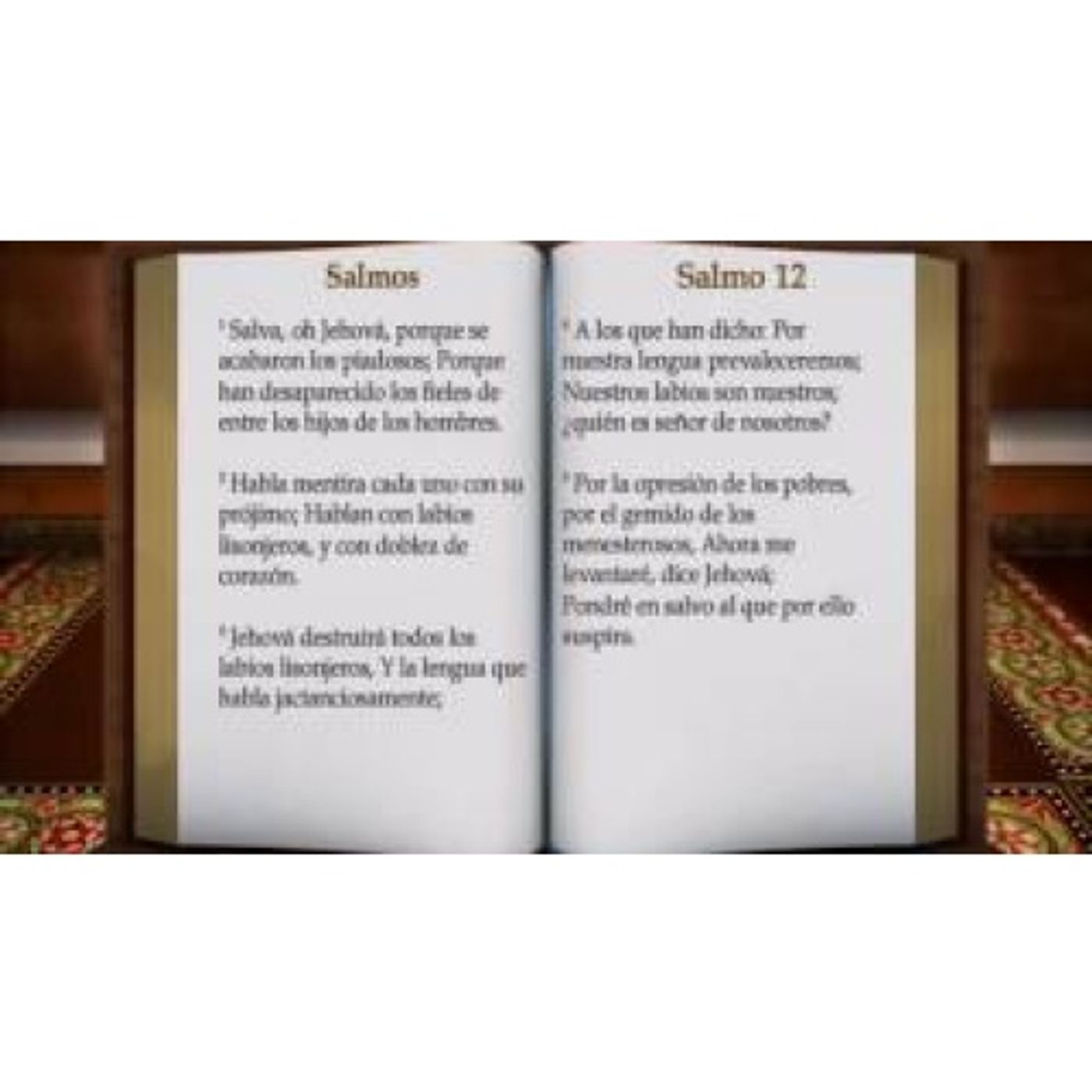 El libro de los Salmos 1 al 96. Biblia hablada RV 1960