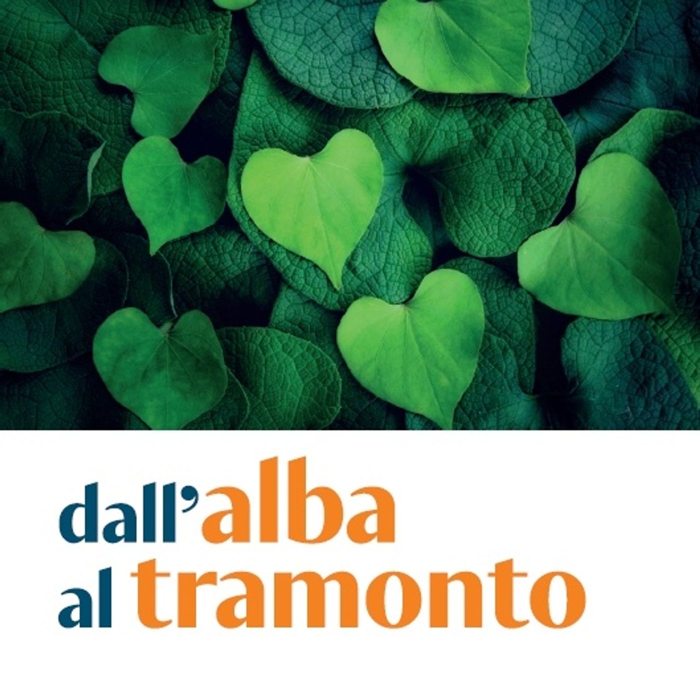 Dall\'alba al tramonto