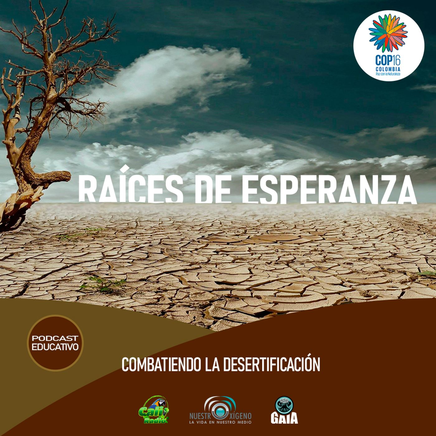 2024 Nuestro Oxigeno 06- Junio