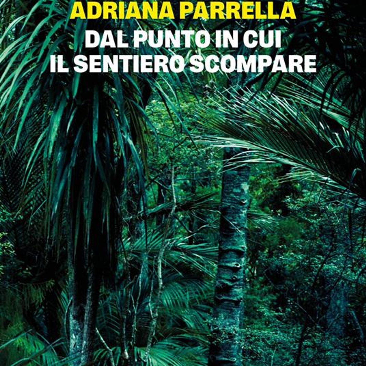 Adriana Parrella "Dal punto in cui il sentiero scompare"