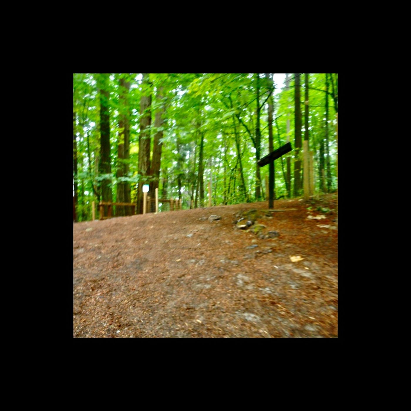 Three Triangle Repeats (down Glendenning) — The Running Jackal cover