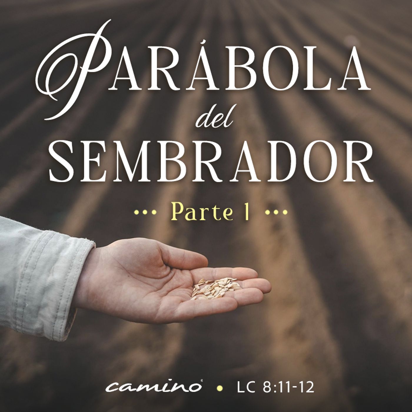 Oración 4 de noviembre (Parábola del sembrador parte 1) episode artwork