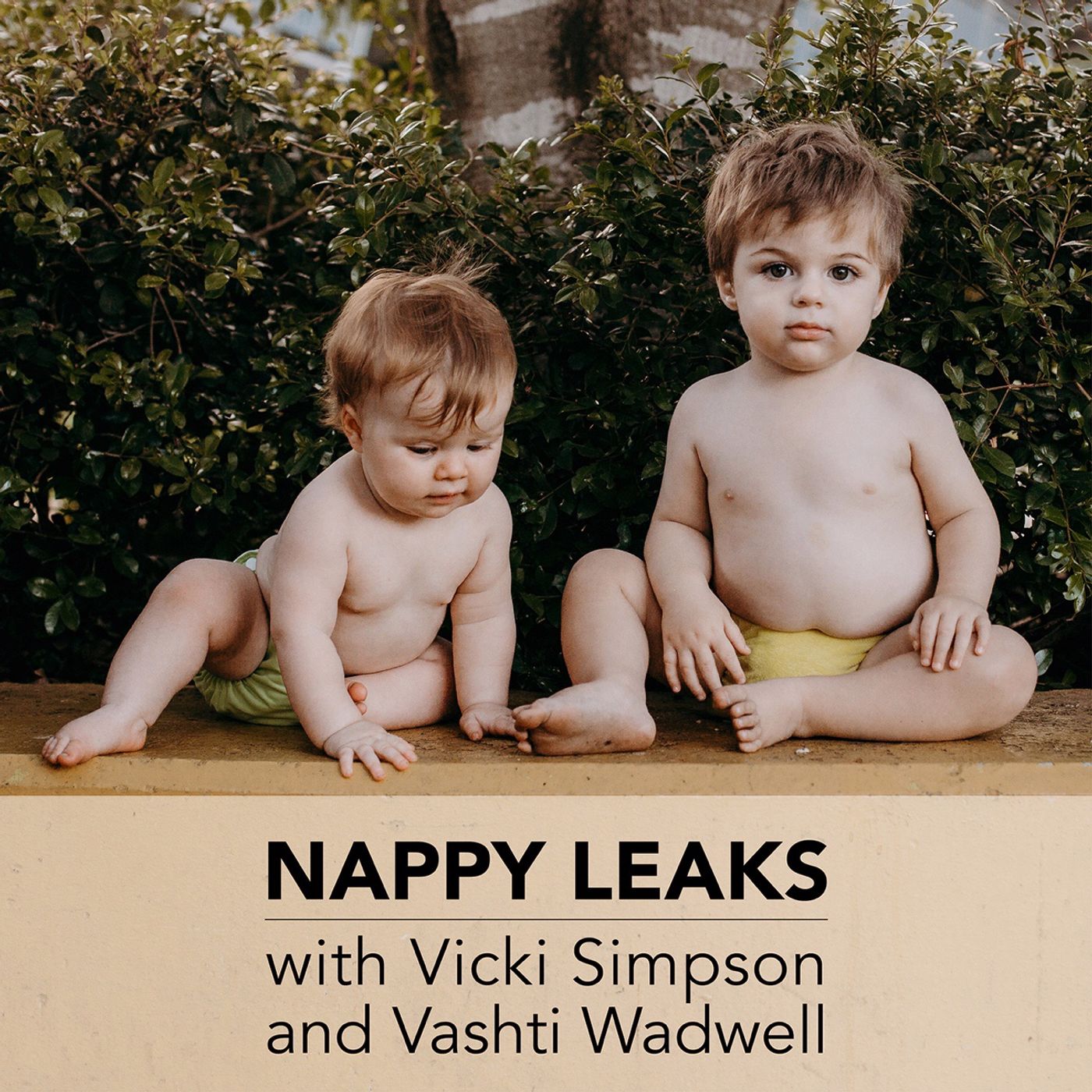 Nappy Leaks