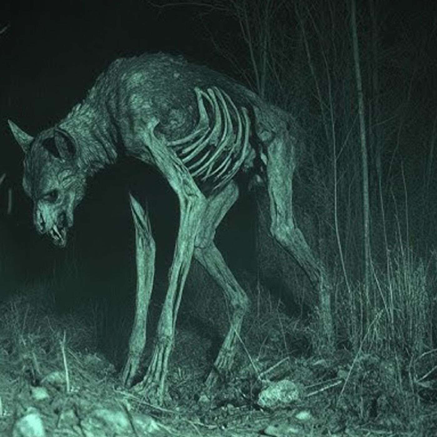 Mi Primer Acercamiento Con Un NAHUAL - Historias De Terror - Voces De La Noche