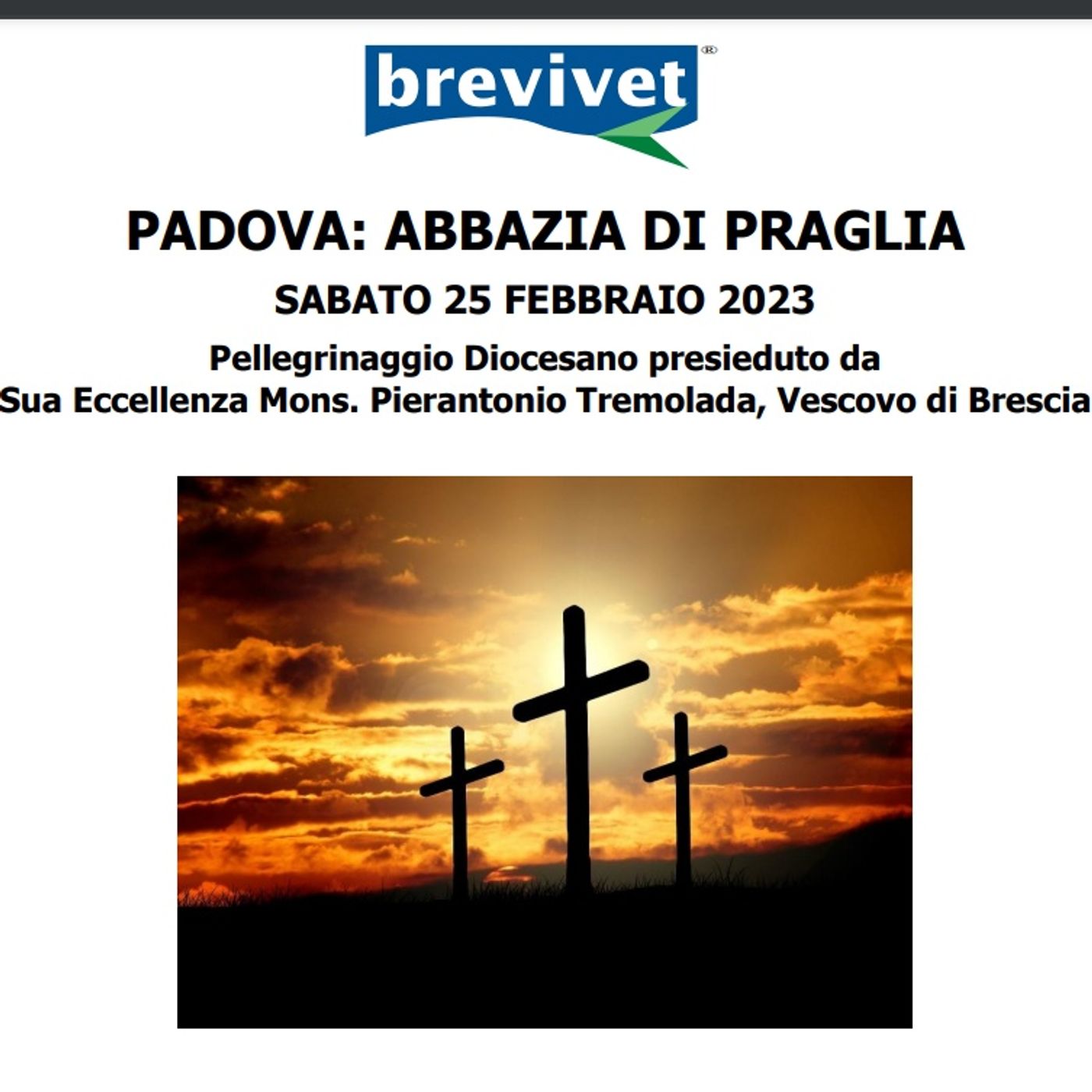 In pellegrinaggio con il Vescovo Pierantonio: intervista a Barbara Chiodi  -  8 febbraio 2023 episode artwork