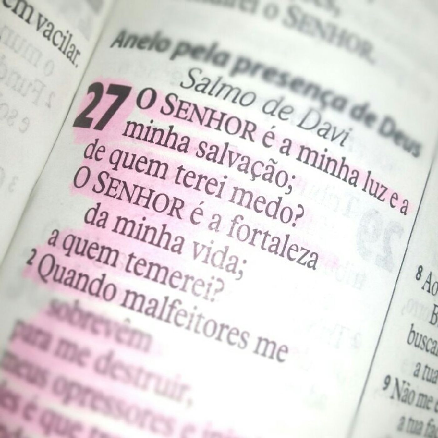 Caminhando Na Graça👑V.E👑 Radio PazLuz